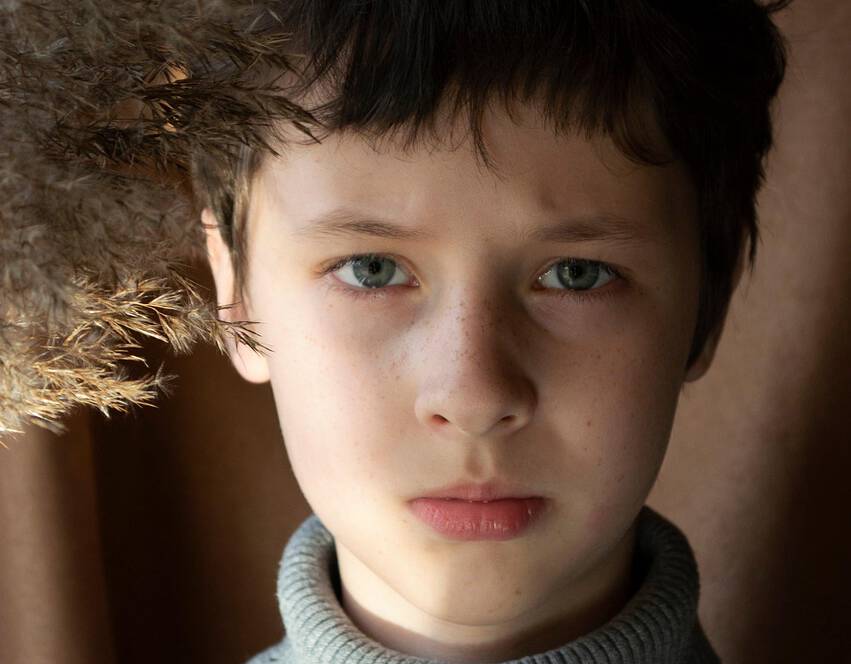 boy, teen, face, turtleneck, sweater, dry plant, teenager, rays of light, portrait